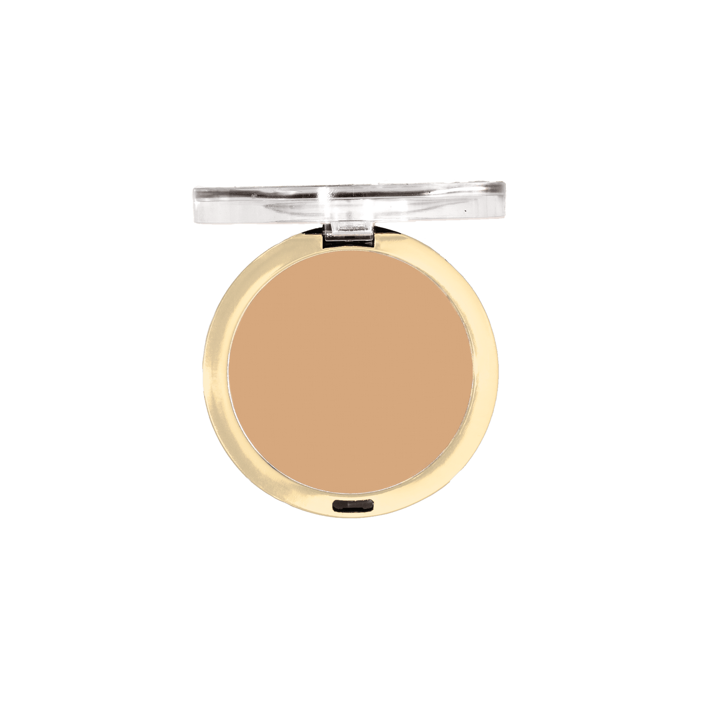 Conceal + Perfect Shine-Proof Powder