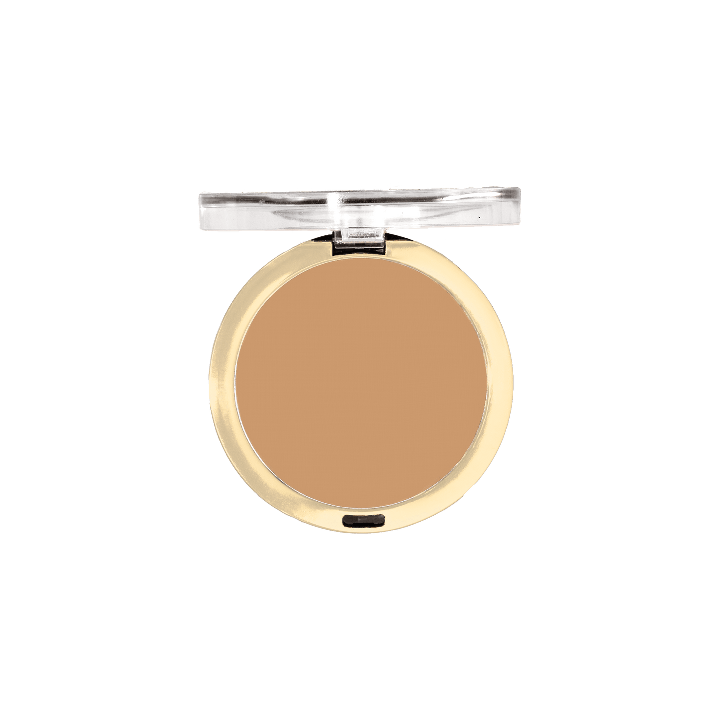 Conceal + Perfect Shine-Proof Powder