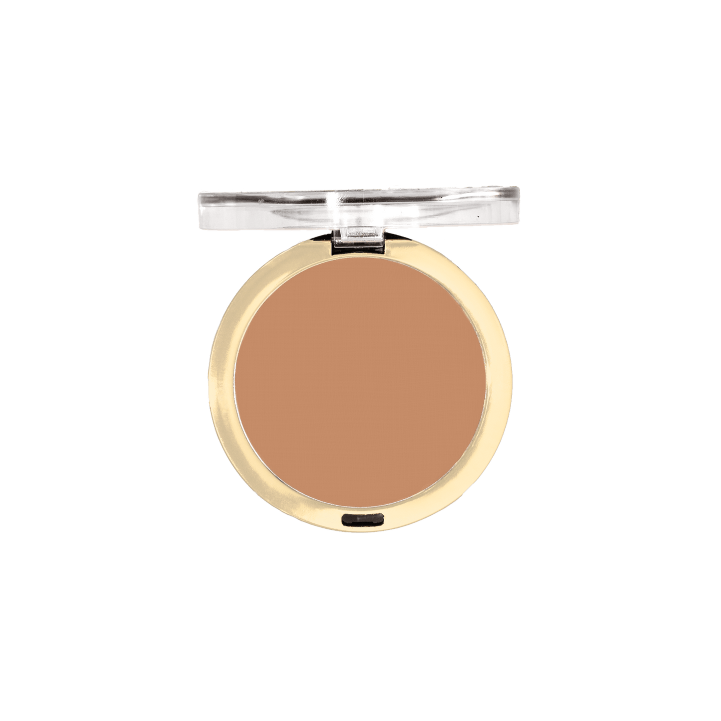 Conceal + Perfect Shine-Proof Powder