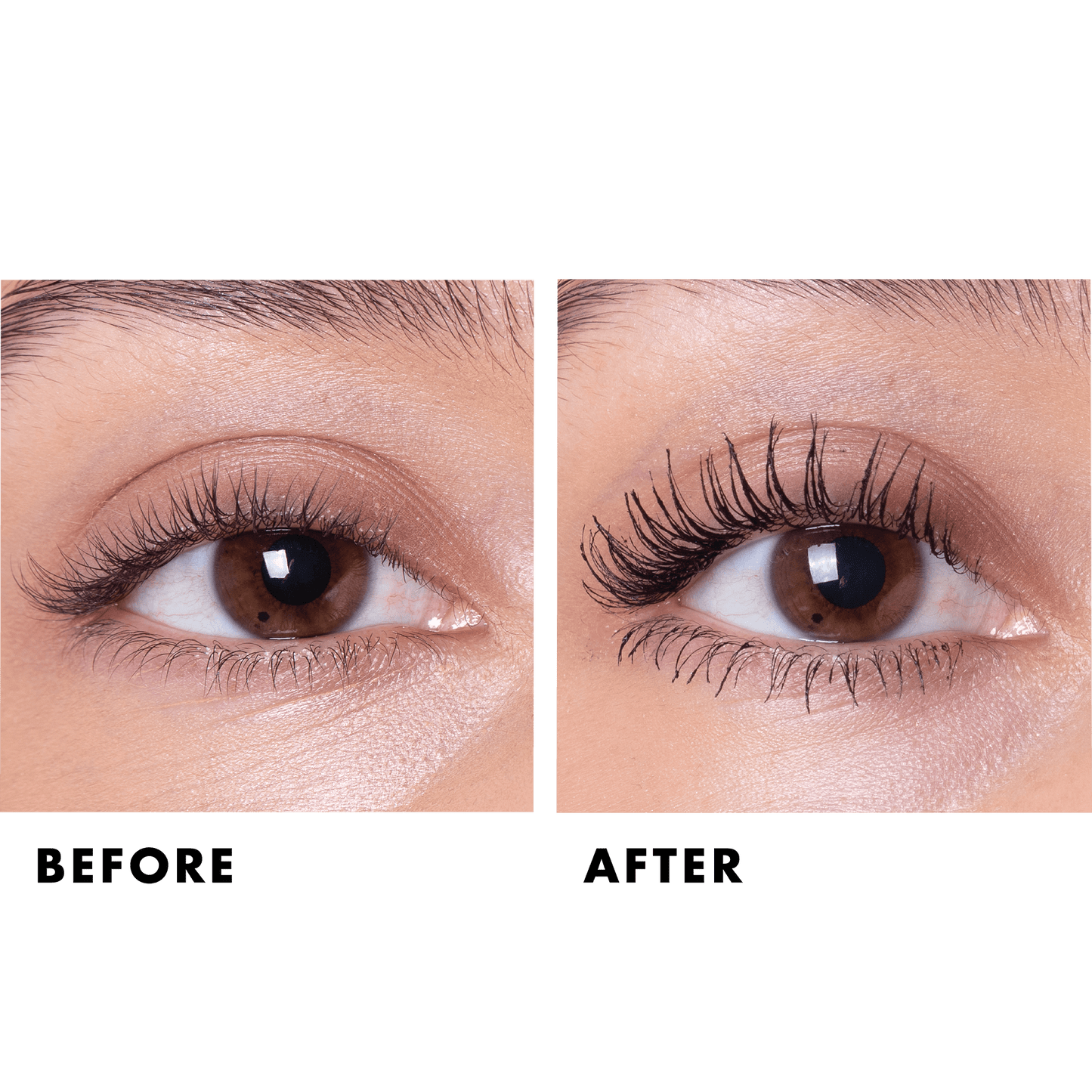 Highly Rated Lash Extensions Mascara